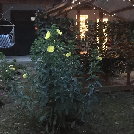 Theodor Tomaj 3bdr Ac Garden Terrace * בדקסוניטומאי