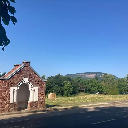 Theodor Tomaj 3bdr Ac Garden Terrace 度假居 包道乔尼托毛伊