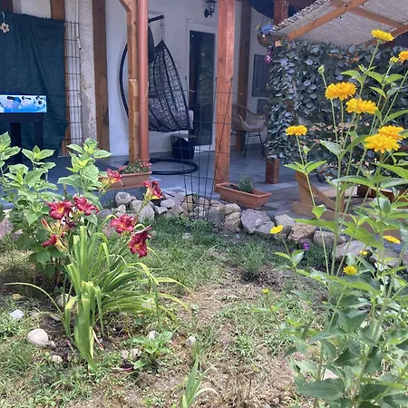بيت للعطل Theodor Tomaj 3bdr Ac Garden Terrace *