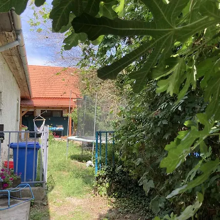 בית נופש Theodor Tomaj 3bdr Ac Garden Terrace *