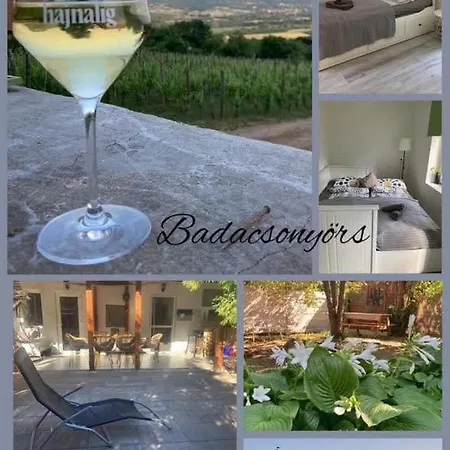 בית נופש Theodor Tomaj 3bdr Ac Garden Terrace *
