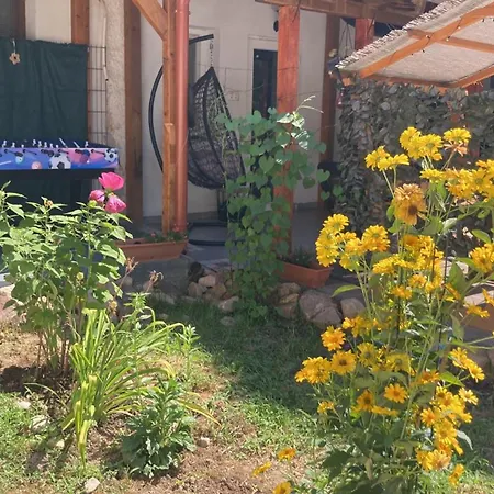 Theodor Tomaj 3bdr Ac Garden Terrace * باداتشونيتوماي