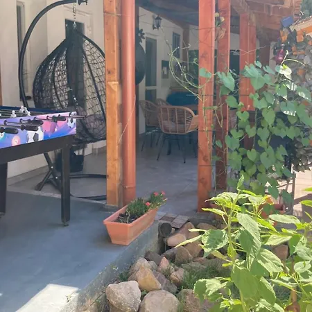 Theodor Tomaj 3bdr Ac Garden Terrace