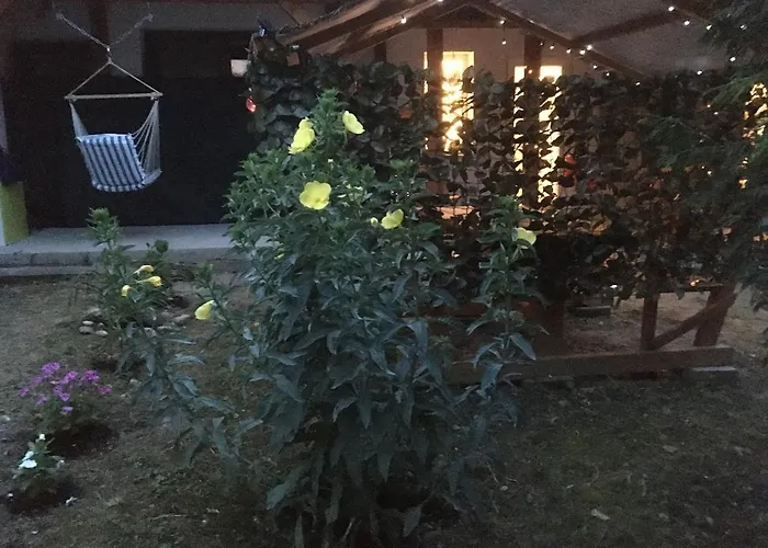 Theodor Tomaj 3bdr Ac Garden Terrace * باداتشونيتوماي