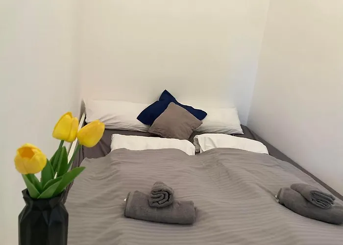 Theodor Tomaj 3bdr Ac Garden Terrace בדקסוניטומאי