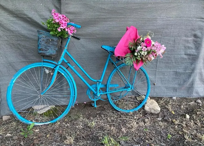 Theodor Tomaj 3bdr Ac Garden Terrace * בדקסוניטומאי