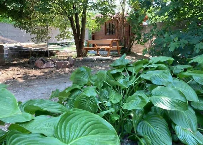 Theodor Tomaj 3bdr Ac Garden Terrace