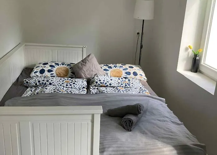 Theodor Tomaj 3bdr Ac Garden Terrace בדקסוניטומאי